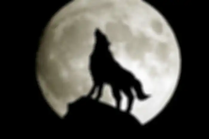 kenapa saat bulan purnama dilarang berkendara?