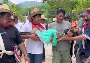 NYELENEH, Wali Kota Ini Resmi Menikah dengan Buaya Betina, Alasan di Baliknya Justru Bikin Warga Bangga