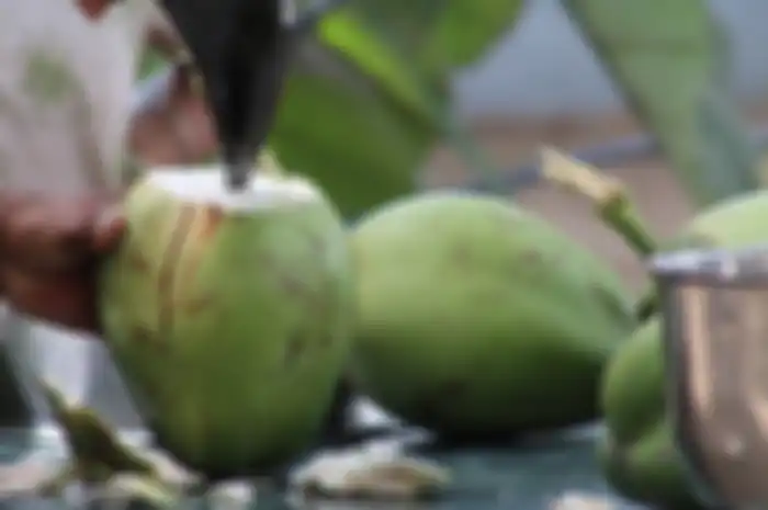 Rutin minum air kelapa tiap hari selama 6 bulan, wanita ini rasakan khasiat luar biasa pada tubuhnya