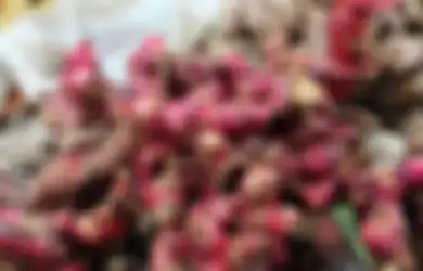 Banyak Dicari di Masa Pandemi, Jahe Merah Ternyata Bermanfaat untuk Atasi 3 Penyakit Ini