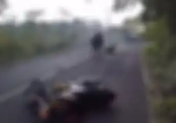  Sering Kecelakaan, Banyak Pemotor Enggak Paham Arti Garis Lurus Tanpa Putus di Jalan Raya