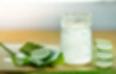 Segarkan Tubuh di Cuaca Panas Pakai Aloevera Jus, Ini Resepnya!
