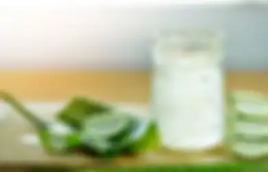 Segarkan Tubuh di Cuaca Panas Pakai Aloevera Jus, Ini Resepnya!
