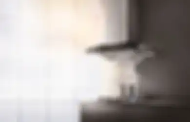 Rumah Aman bagi Si Kecil, Pastikan Terwujud dengan Cara Berikut Ini