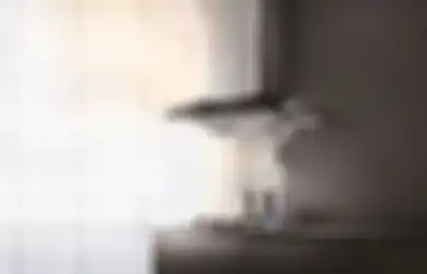 Rumah Aman bagi Si Kecil, Pastikan Terwujud dengan Cara Berikut Ini