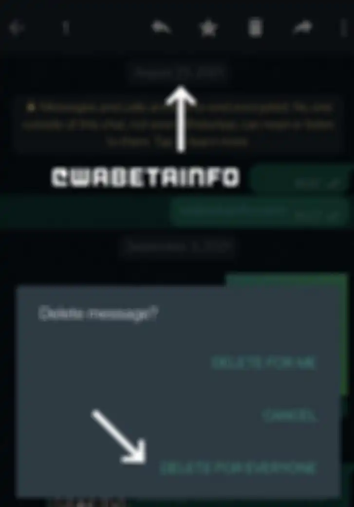 Tampilan fitur baru hapus pesan WhatsApp untuk semua orang.