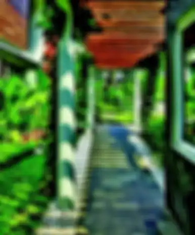 Pergola deisejukkan dnegan tanaman rambat Thunbergia 