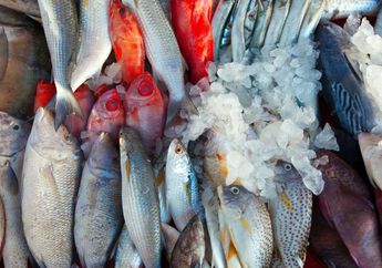 Salah Besar! Mulai Sekarang Stop Pakai Jeruk Nipis untuk Hilangkan Bau Amis Pada Ikan, Ternyata Rempah Inilah yang Paling Ampuh