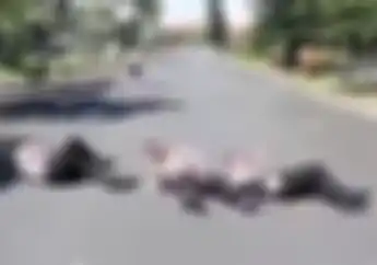 Kelar Hidup Loe Kalo Ketemu Polisi Tidur Kaya Gini,  Simak Videonya Bray..