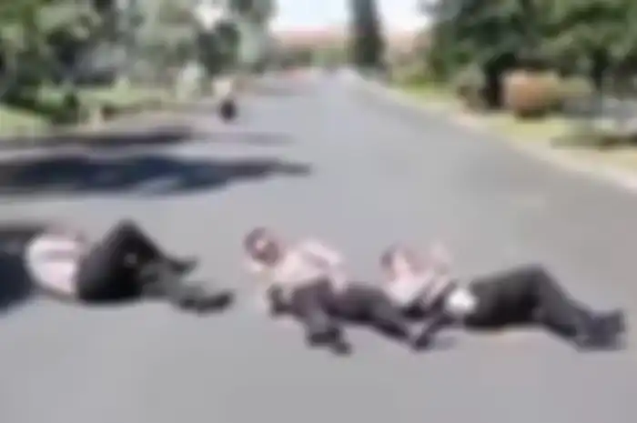Gimana nggak berhenti, ini bukan polisi tidur biasa tapi polisi tiduran beneran