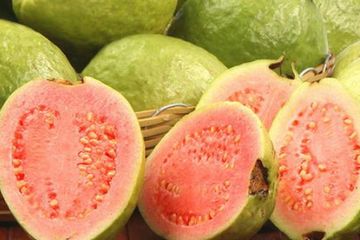 Pantas Dijuluki Raja Buah, ini Manfaat Luar Biasa Jika Rajin Makan Jambu Biji, Gak Bakal Nyesel