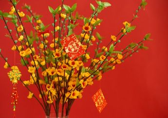 5 Tanaman Pembawa Hoki yang Cocok Jadi Dekorasi Imlek 2025, Rumah Makin Cantik dan Kebanjiran Rezeki