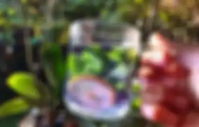 Mendadak Viral di Twitter, Minuman Kekinian ala Cafe Ini Ternyata Bisa Bikin Tubuh Rasakan Deretan Manfaat Luar Biasa, Begini Cara Mudah Membuatnya