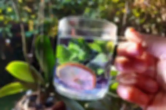 Teh telang campur lemon dan daun mint yang viral di Twitter