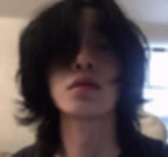 Wolf Cut Mullet