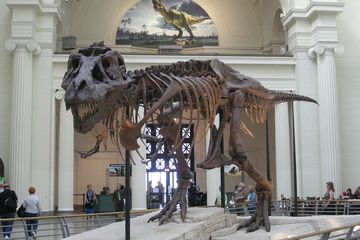 Ilmuwan Berusaha Ciptakan Bau Mulut Dinosaurus, Seperti Apa Aromanya?