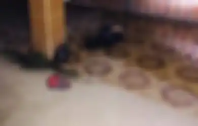 Viral, Layaknya Gelandangan Tidur Di Emperan Teras, Penyebab Sebenarnya Bocah Sampai Demikian Ternyata Lebih Mengenaskan Lagi