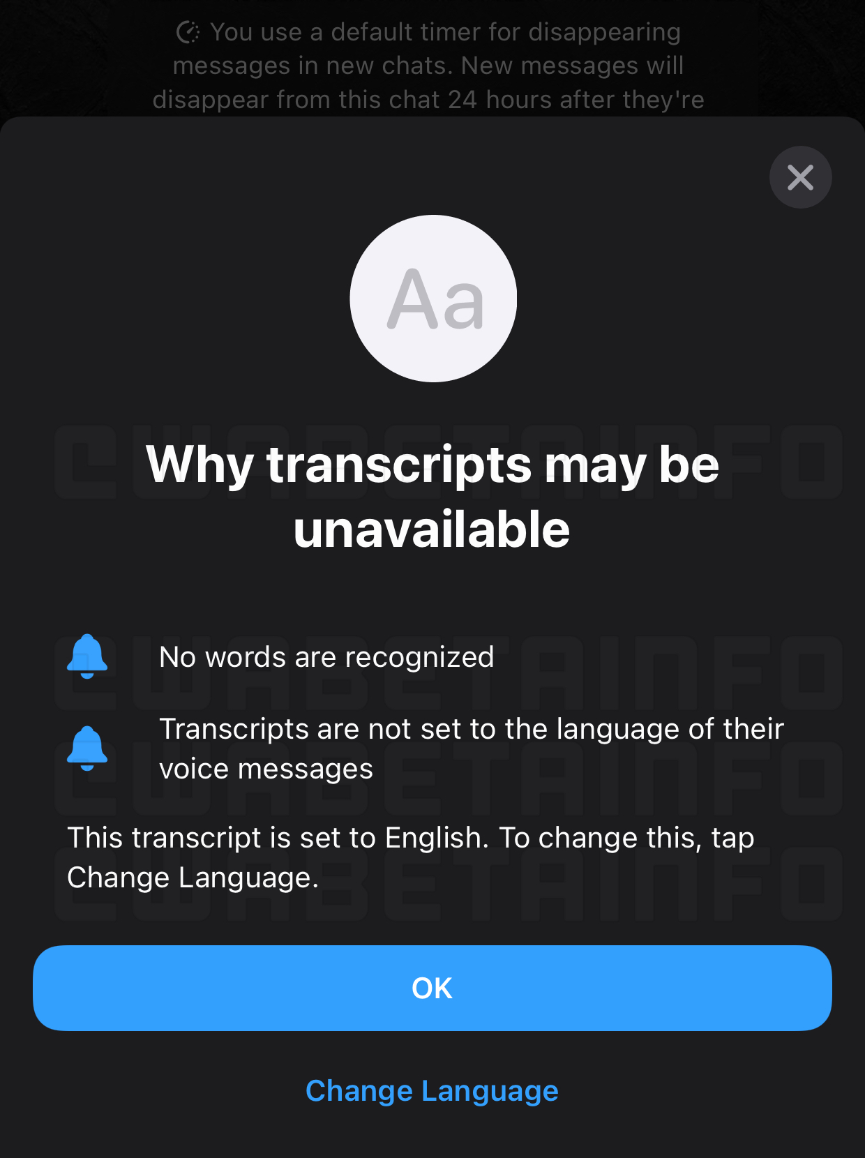 Tangkapan layar fitur transkrip pesan audio menjadi teks.