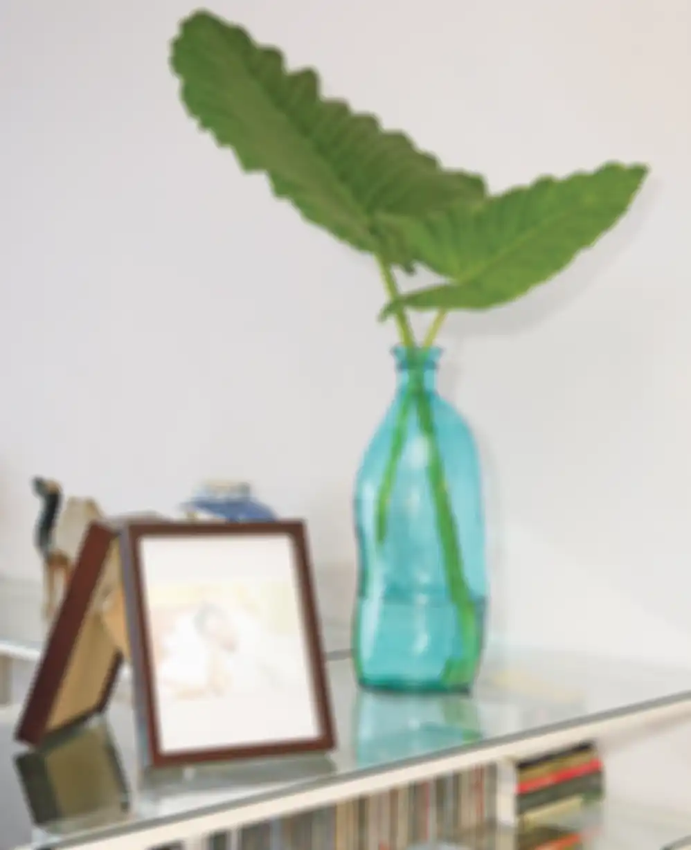 Cantiknya Daun Talas