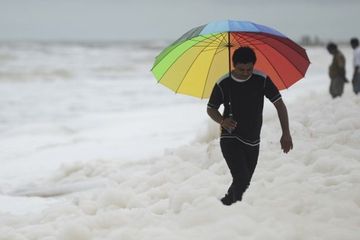 Busa putih mencemari pantai di India. 