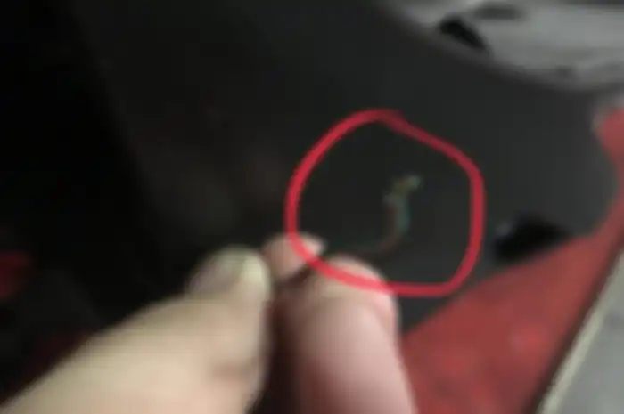 Kabel di sekitar radiator NMAX digigit tikus
