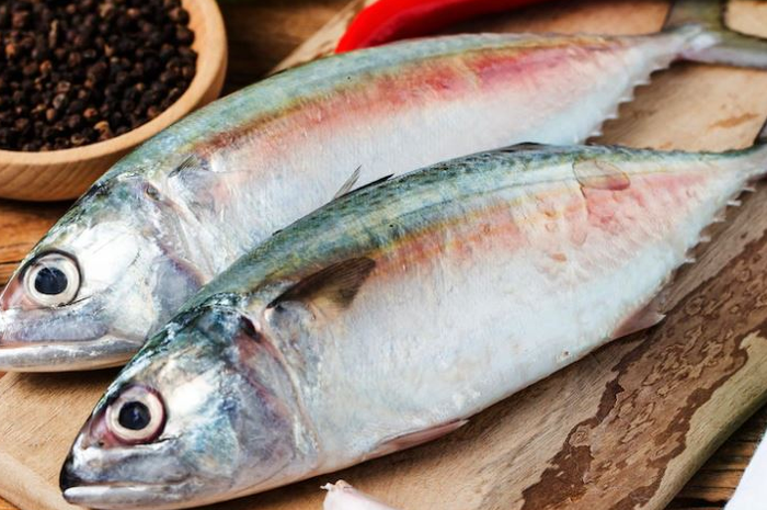 Ilustrasi Ikan