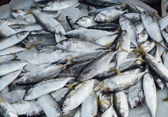 Bukan Hanya Salmon, Ikan Murah Meriah Ini Juga Kaya Omega 3 yang Bisa Menyehatkan Jantung