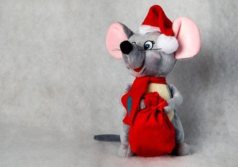 Ramalan Shio Tikus di Bulan Agustus 2021, Akan Ada Pencapaian Tak Terduga