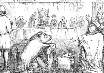 Persidangan Paling Aneh: Tikus Pemakan Tanaman dan Babi Pembunuh Diadili