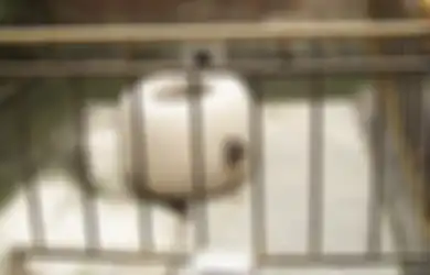 Tubuhnya Dilempar ke Sumur Sempit, Tak Dikuburkan Layak hingga Bertahun-tahun Kemudian, Inilah Kisah Tragis Kematian Selir Zhen, Istri Kaisar Guangxu dari Dinasti Qing