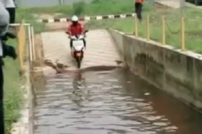 Video motor listrik Gesits aman sentosa terabas banjir, ketinggian segini lo.