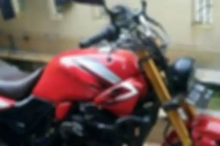 Kawasaki Ninja 250 karburator, tapi kok bentuknya macan?