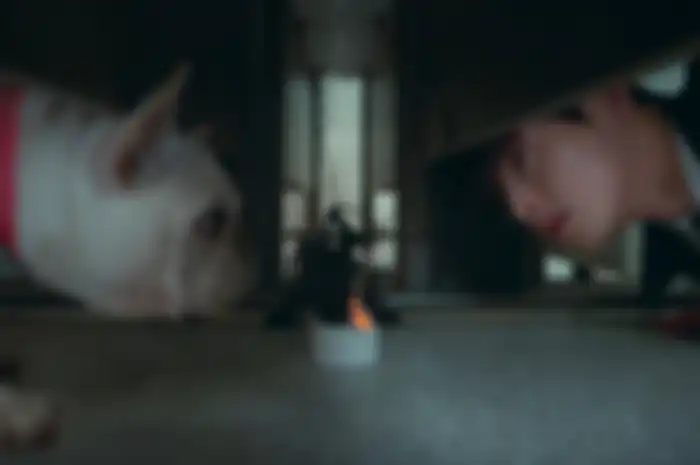 drama Korea A Good Day to Be a Dog
