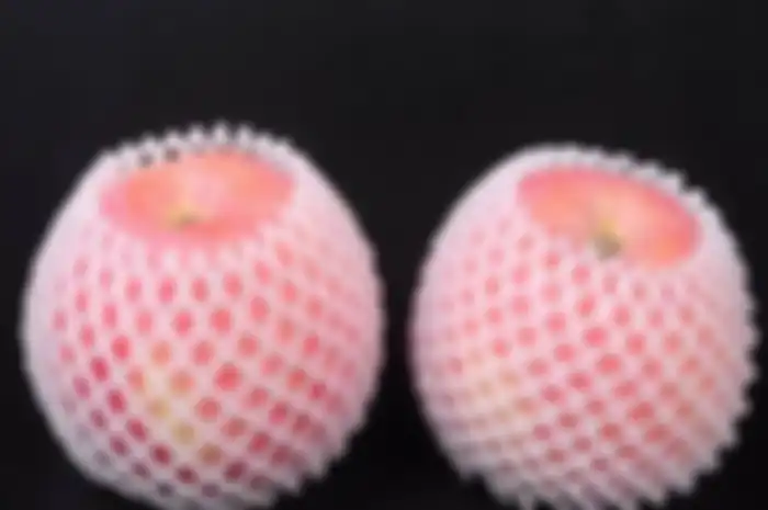 Jaring jaring buah