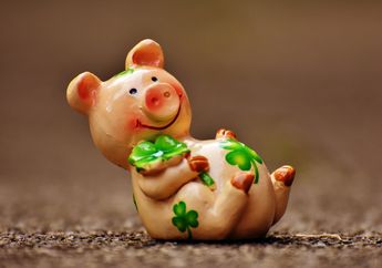 Ramalan Shio yang Kurang Beruntung Rabu 7 Juli 2021, Shio Babi Agak Sensitif