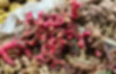 Jahe Merah Rebus Bak Ramuan Ajaib, Coba Minta Suami Minum Sebelum Tidur dan Lihat Efeknya Menakjubkan
