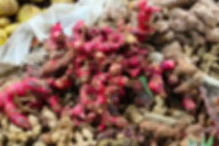 Obat kuat tahan lama bercinta alami warisan nenek moyang dengan jahe merah