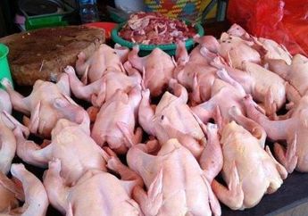 Jangan Sampai Tertipu di Pasar, Begini Cara Bedakan Ayam Segar, Tiren, hingga Berformalin Buat Menu Sahur dan Buka Puasa