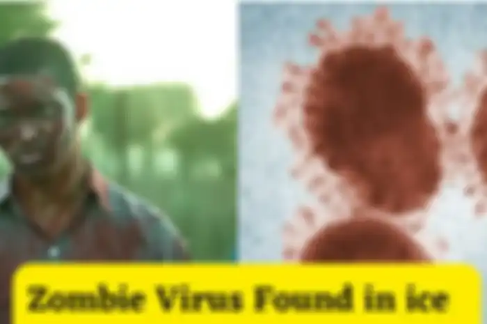 Virus zombie berusia lebih dari 48.500 tahun ditemukan ilmuan di danau beku. Jika pemansan global terus terjadi dengan cepat, es mencair ini yang terjadi.