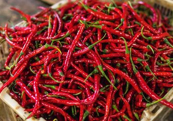 Baru Tahu Dampaknya Buruk Buat Kesehatan, Mulai Sekarang Berhenti Menyimpan Cabai dan Sayuran yang Dibungkus Pakai Kertas Koran