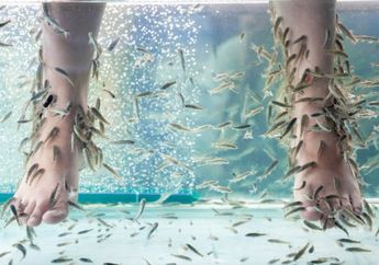 Kakinya Terlalu Bau, Pria ini Membuat Ikan-ikan yang Ada di Kolam Spa Seketika Tewas, Hal Menjijikkan ini pun Terkuak!