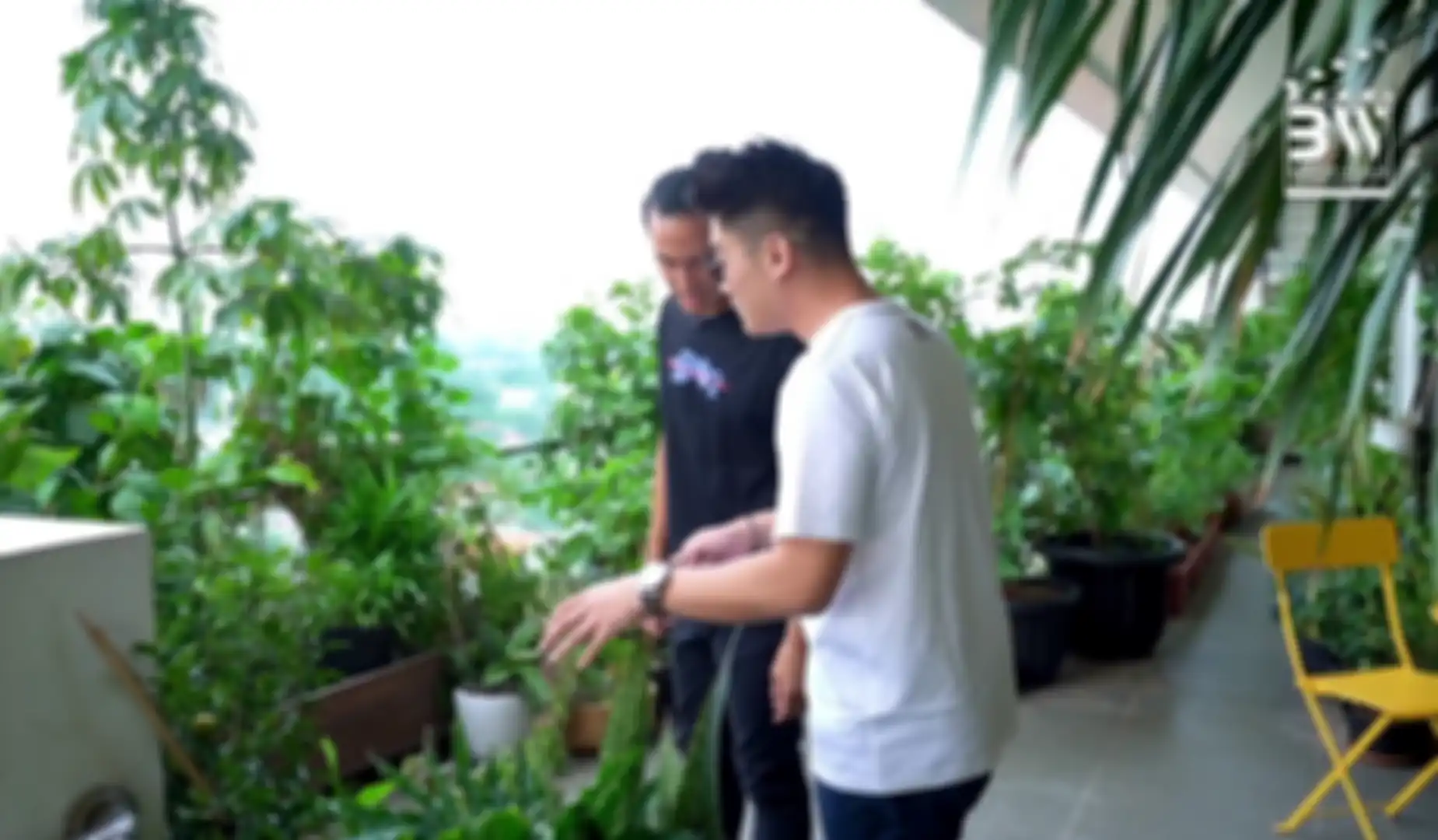 Area outdoor atau balkon di rumah artis Daniel Mananta.