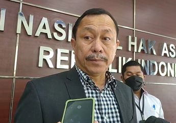 'Kami Sudah Minta Waktu', Laporan Investigasi Timsus Komnas HAM terkait Kasus Brigadir J Rampung, Ahmad Taufik Damanik Siap Serahkan ke Presiden dan Bareskrim Polri