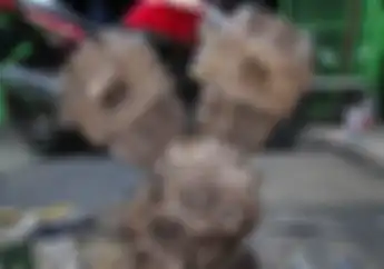 Melongo Lihat Mesin Honda Tiger Jadi V-Twin 421 cc Bro