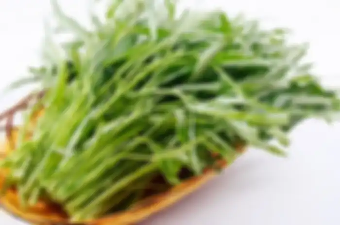 Ilustrasi kangkung