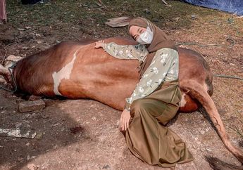 Fantastis! Kurban Sapi Limosin Seberat 1 Ton Lebih, Ria Ricis Beberkan Harga Pasaran Hewan yang Dikurbankan!