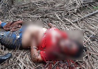 Darah yang Mengalir dari Kepala Belum Sepenuhnya Kering, Jasad Wanita Malang yang Tertutup Pelepah Sawit Ini Ditemukan Gegara Kakinya Tersingkap