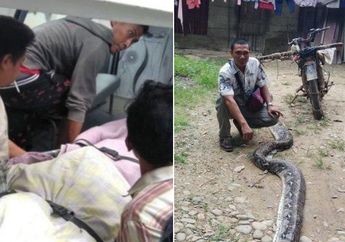 Panji Petualang Angkat Bicara terkait Ular Piton yang Lilit Alfian hingga Tewas