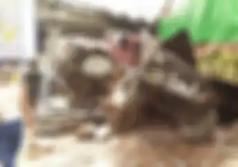 Video Detik-detik Truk Maut Hantam Belasan Sepeda Motor di Bumiayu