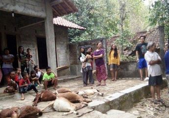 Matinya Puluhan Kambing Secara Misterius di Jawa Barat Akhirnya Terungkap, Sosok Makhluk Penghisap Darah Ini Diketahui Hidup Berkoloni